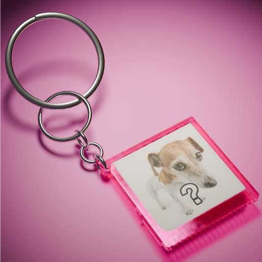 Llavero cartucho GACHA DS